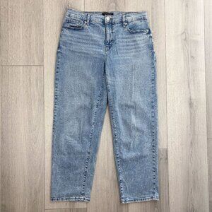 Banana Republic Womens High Rise Straight Denim Jeans Light Blue Size 28/6